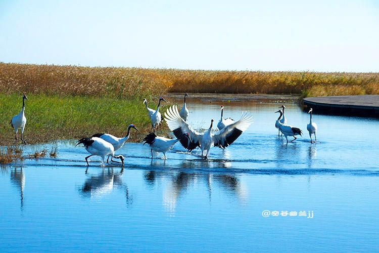 达人分享！浴室少女20“空谷幽兰”