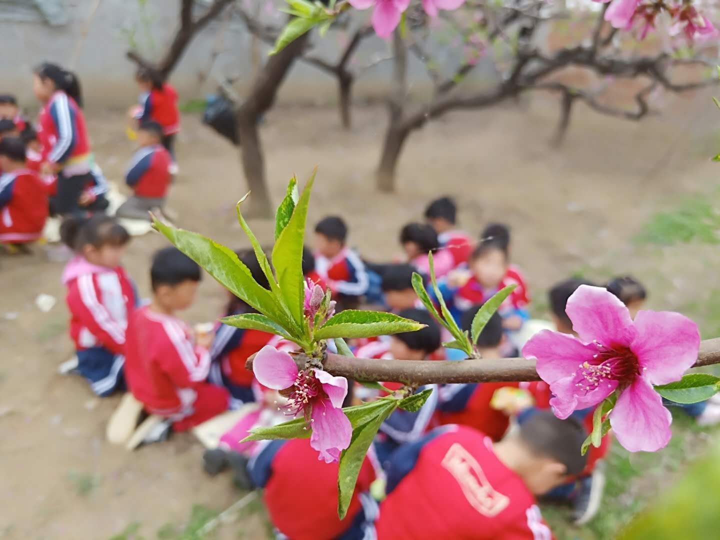 达人分享！公分和厘米换算“桃红柳绿”