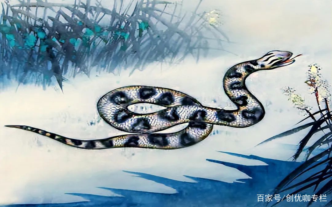 讲解！才高八斗是什么生肖“夏花依旧”