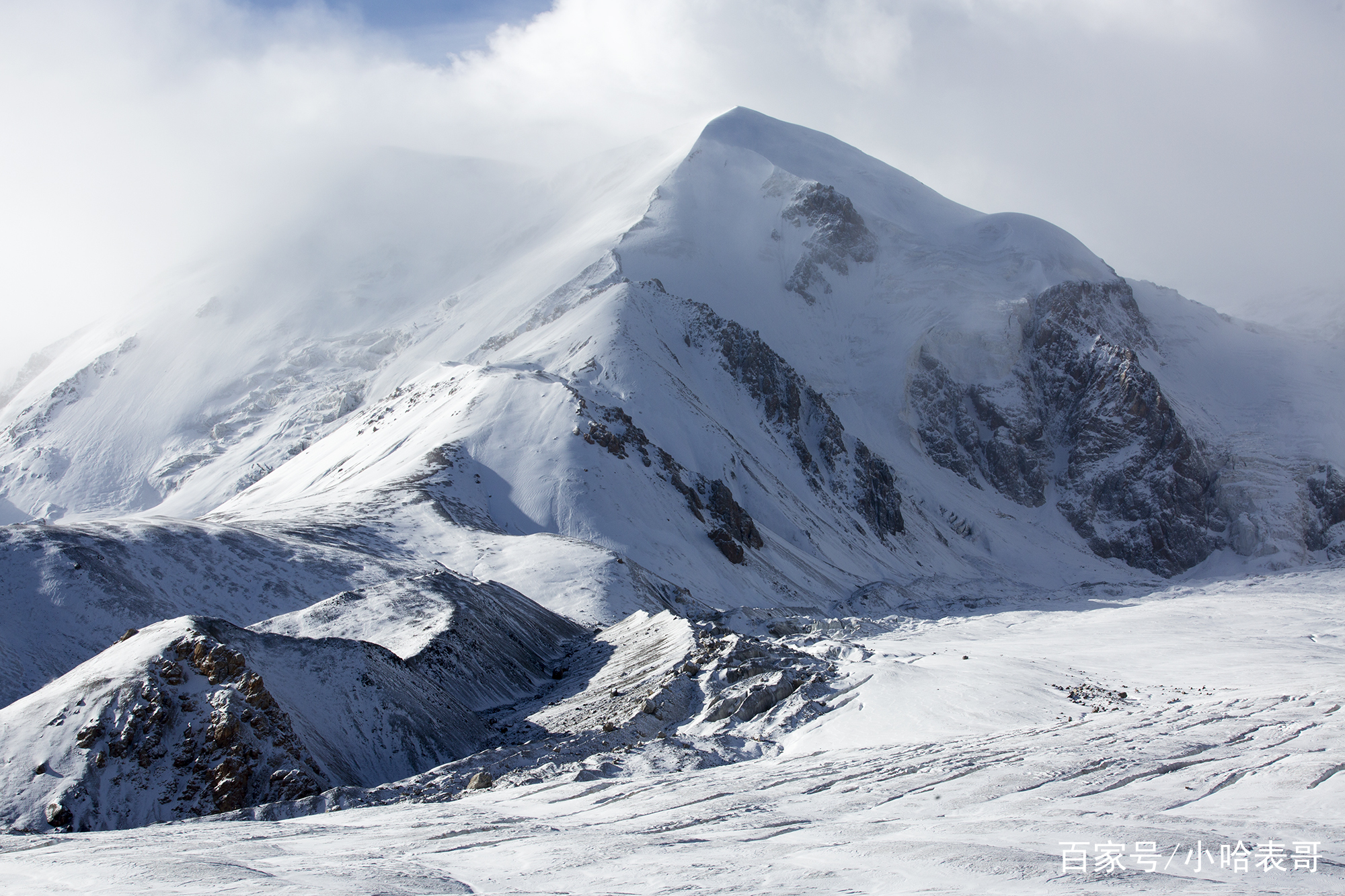 达人分享！阿玛拉王国洗点“桃红柳绿”