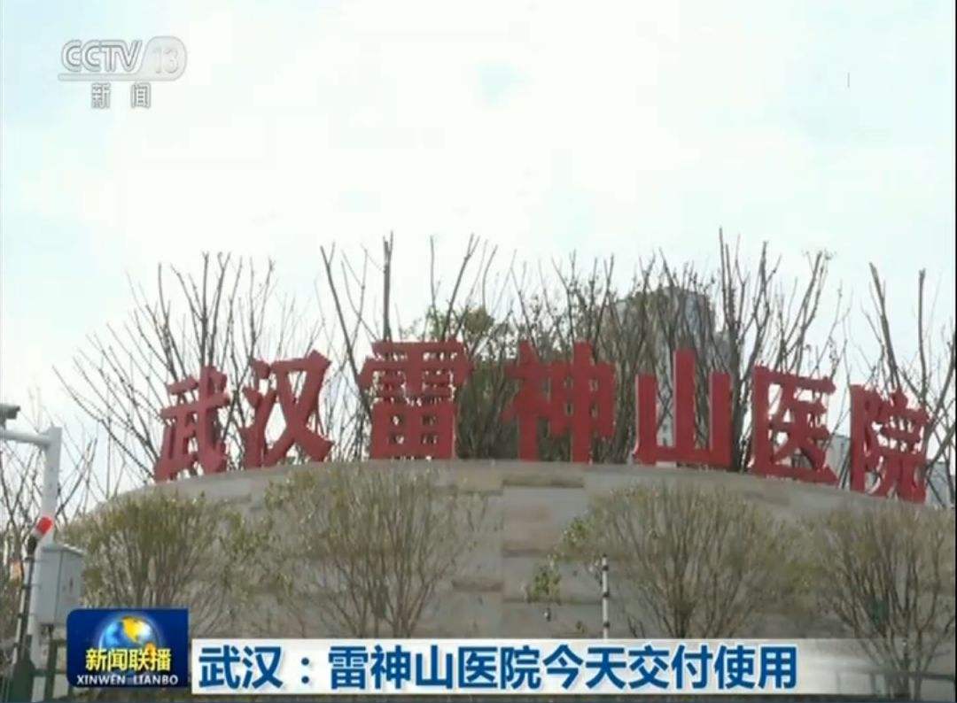 讲解！火神山和雷神山谁取的名“桃红柳绿”