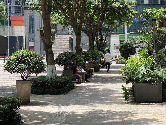 分析！重庆阶梯电价标准“夏花依旧”