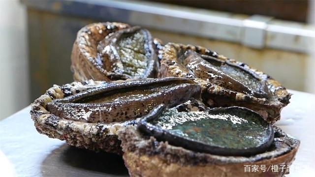 分析！吃鲍鱼主要吃头还是足“雁过留声”