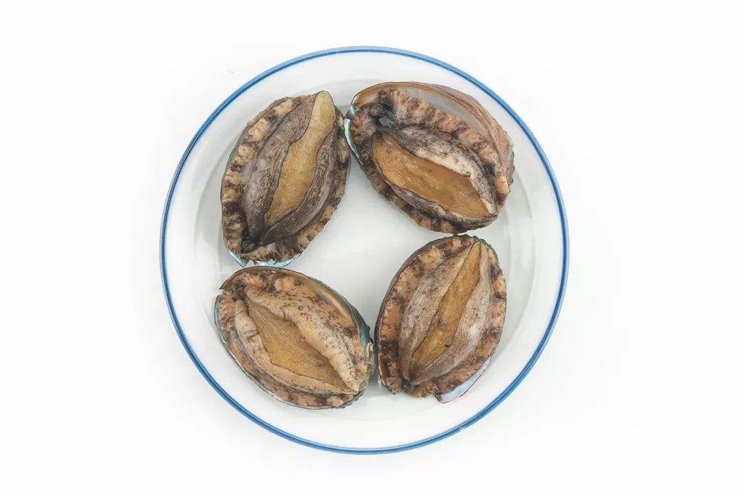 分析！吃鲍鱼主要吃头还是足“雁过留声”