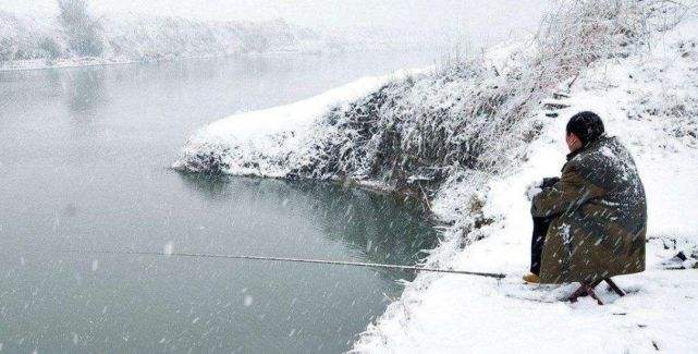 分析！千秋钓鱼论坛“空谷幽兰”