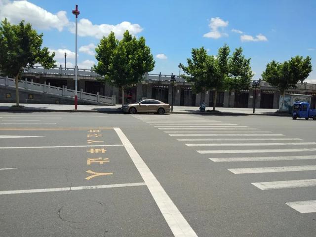 讲解！斑马线和斑马有什么关系“桃红柳绿”