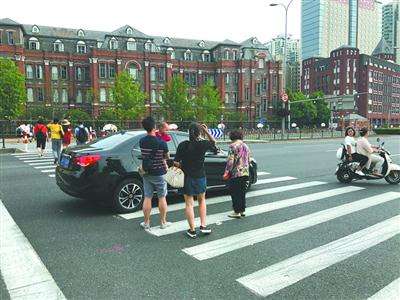 讲解！斑马线和斑马有什么关系“桃红柳绿”