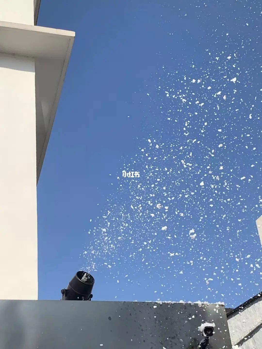 分析！定格的意思