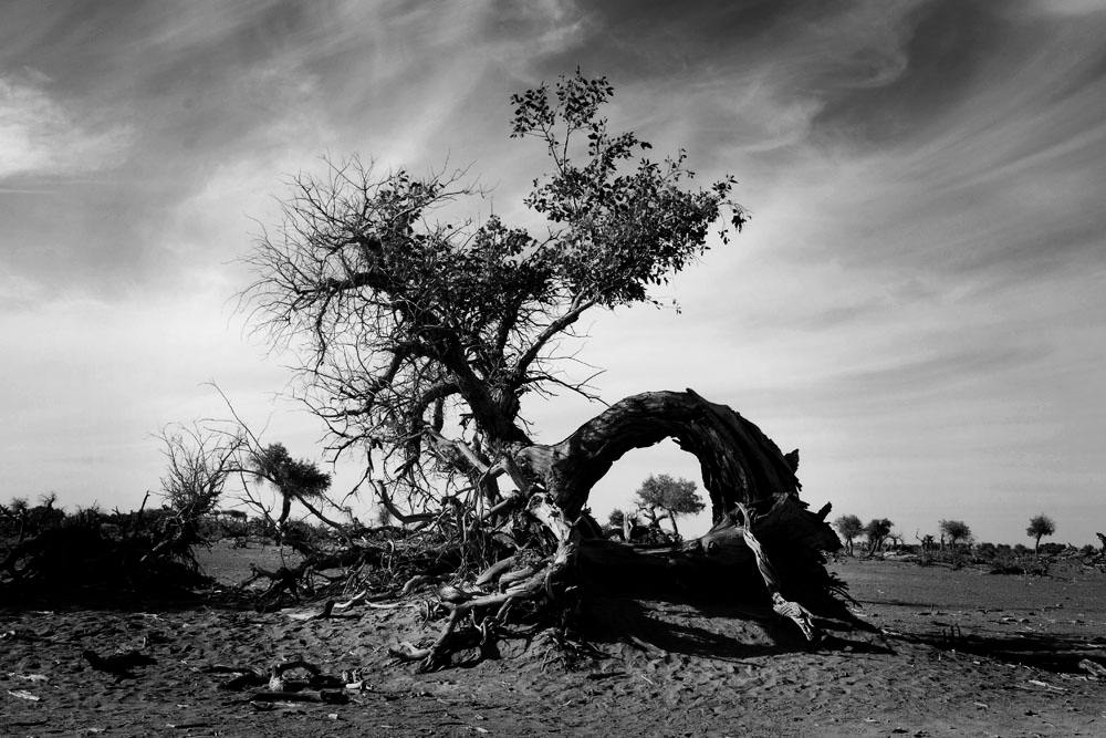 讲解！屈服之疼爱