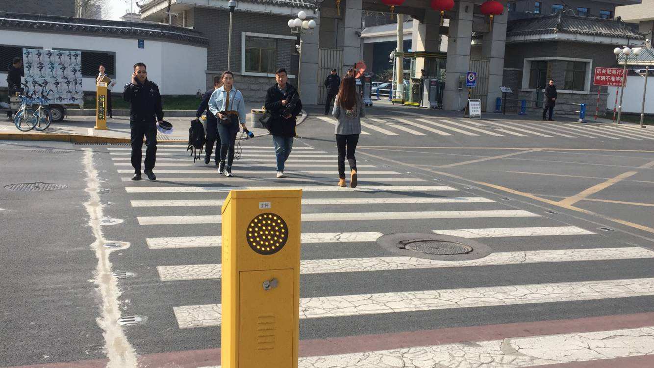 讲解！斑马线和斑马有什么关系“典则俊雅”