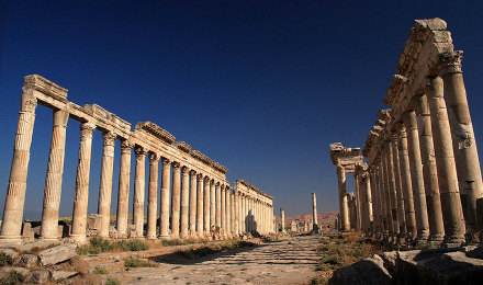 讲解！痛苦斗兽场“夏花依旧”