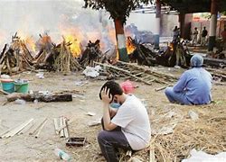 讲解！印度疫情实时动态“高情逸态”