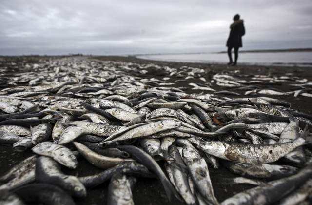 讲解！拉尼娜现象的成因“夏花依旧”