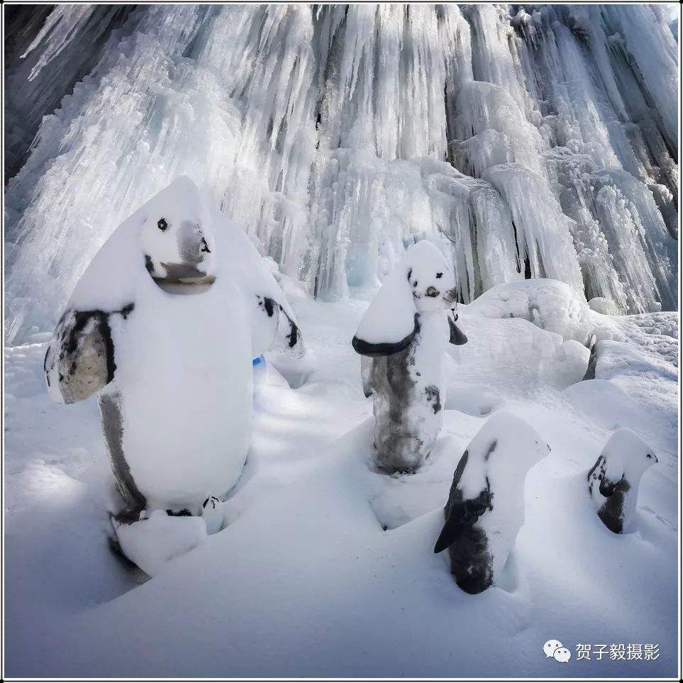 达人分享！present的同义词“冰清水冷”