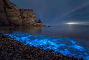 讲解！大连荧光海滩“典则俊雅”