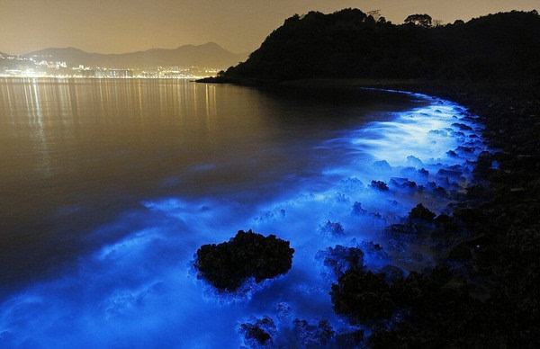 讲解！大连荧光海滩“典则俊雅”