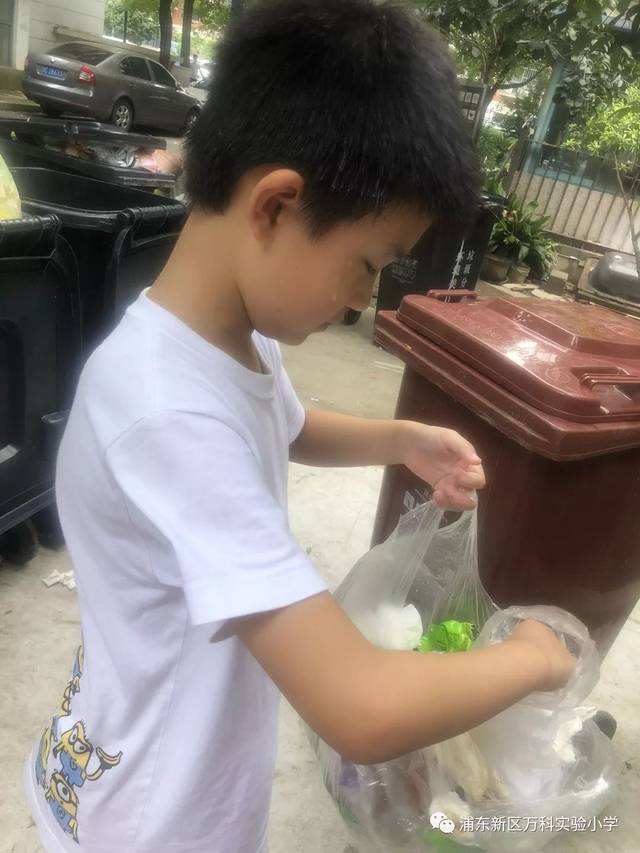 达人分享！生活垃圾一般分为什么“一抹红尘”