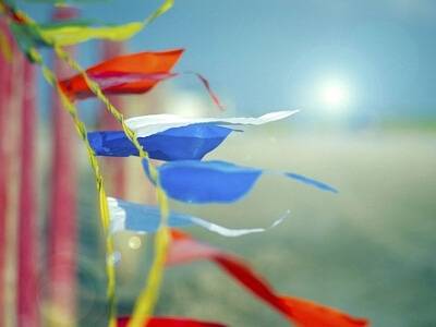 讲解！ipad4怎么下载软件“夏花依旧”