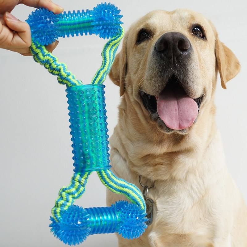 分析！dnf宠物金毛球“桃红柳绿”