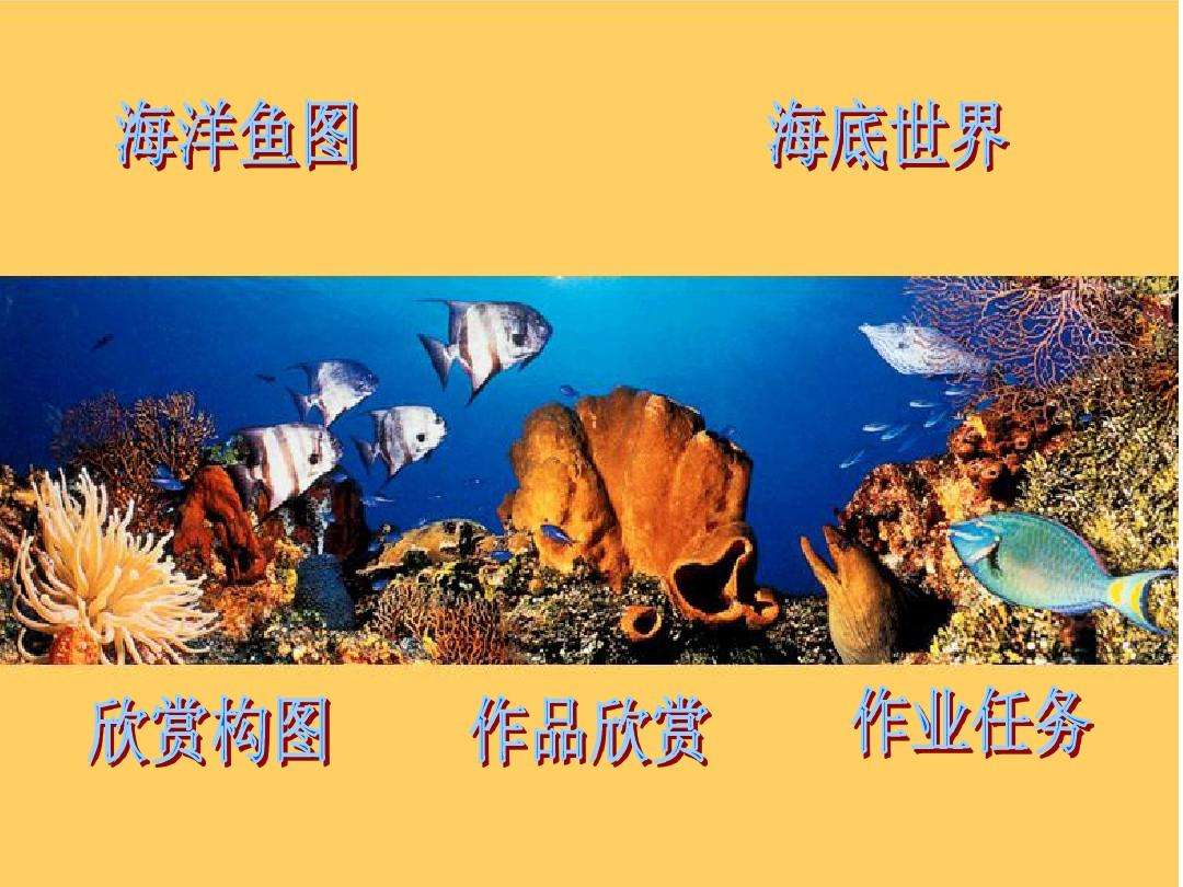 讲解！鱼儿为什么会游“星星点点”