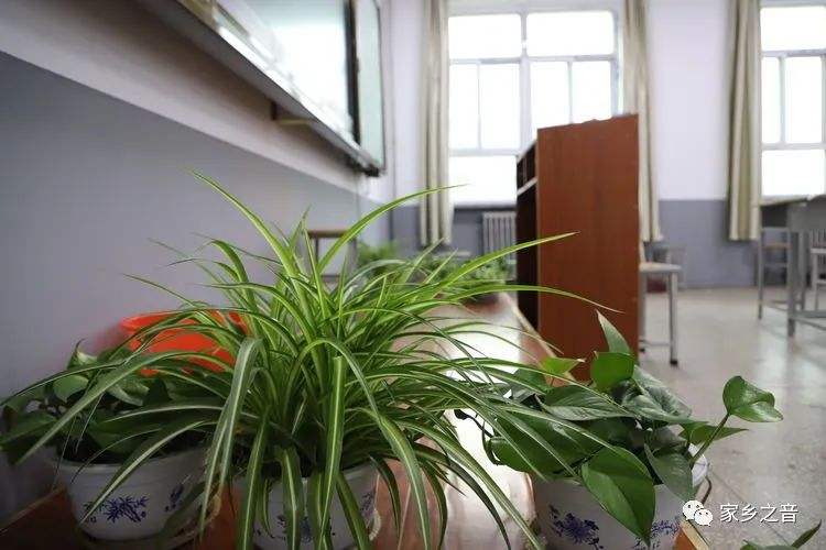 讲解！在教室做啊好大用力“雁过留声”