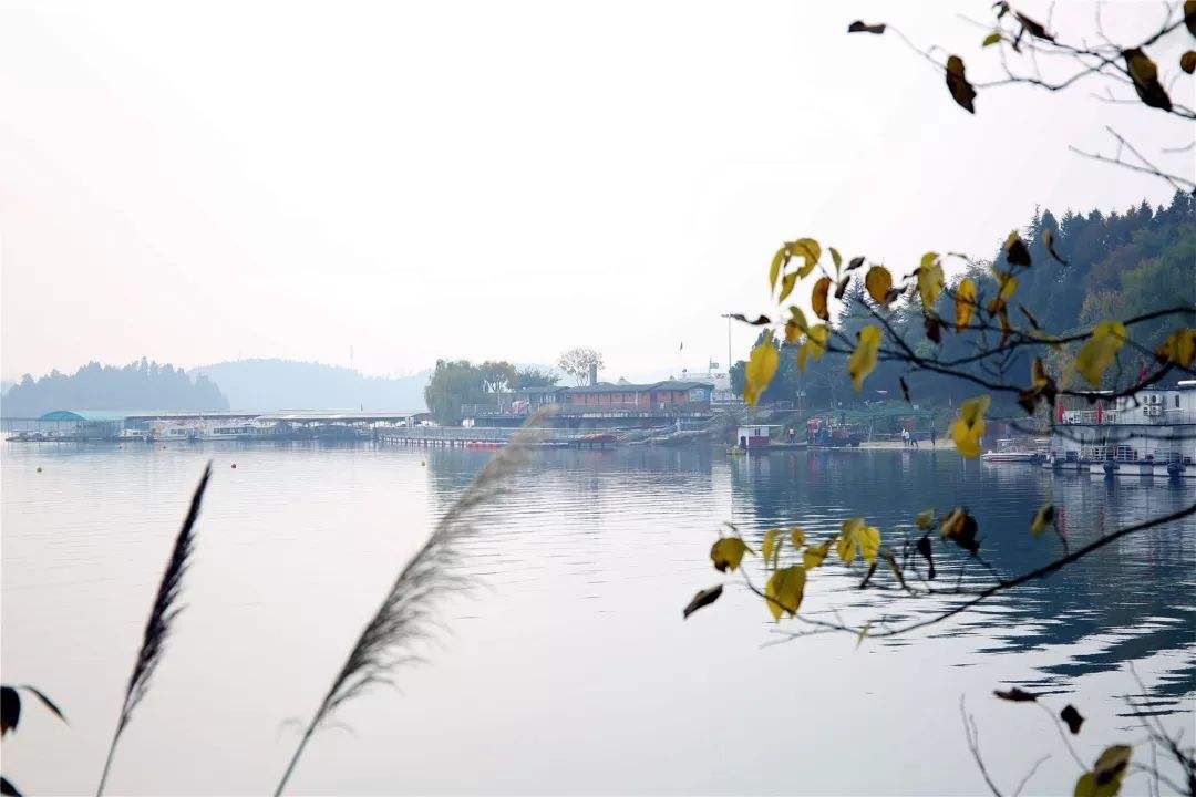 详情！冬天蟠龙卧“星星点点”