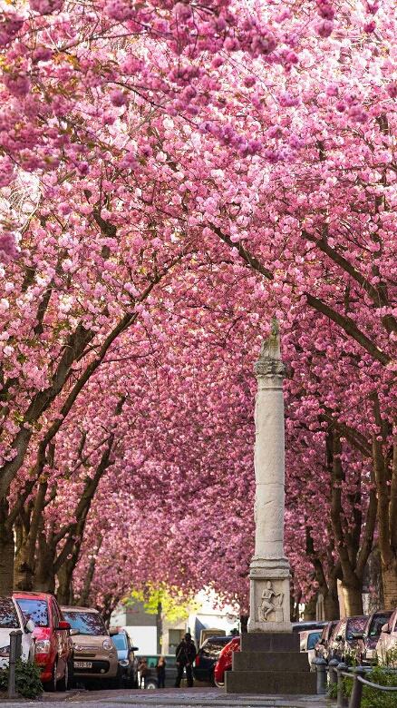达人分享！打雷能上网吗“高情逸态”