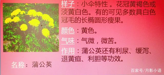 讲解！怎么同时接收老公微信“桃红柳绿”