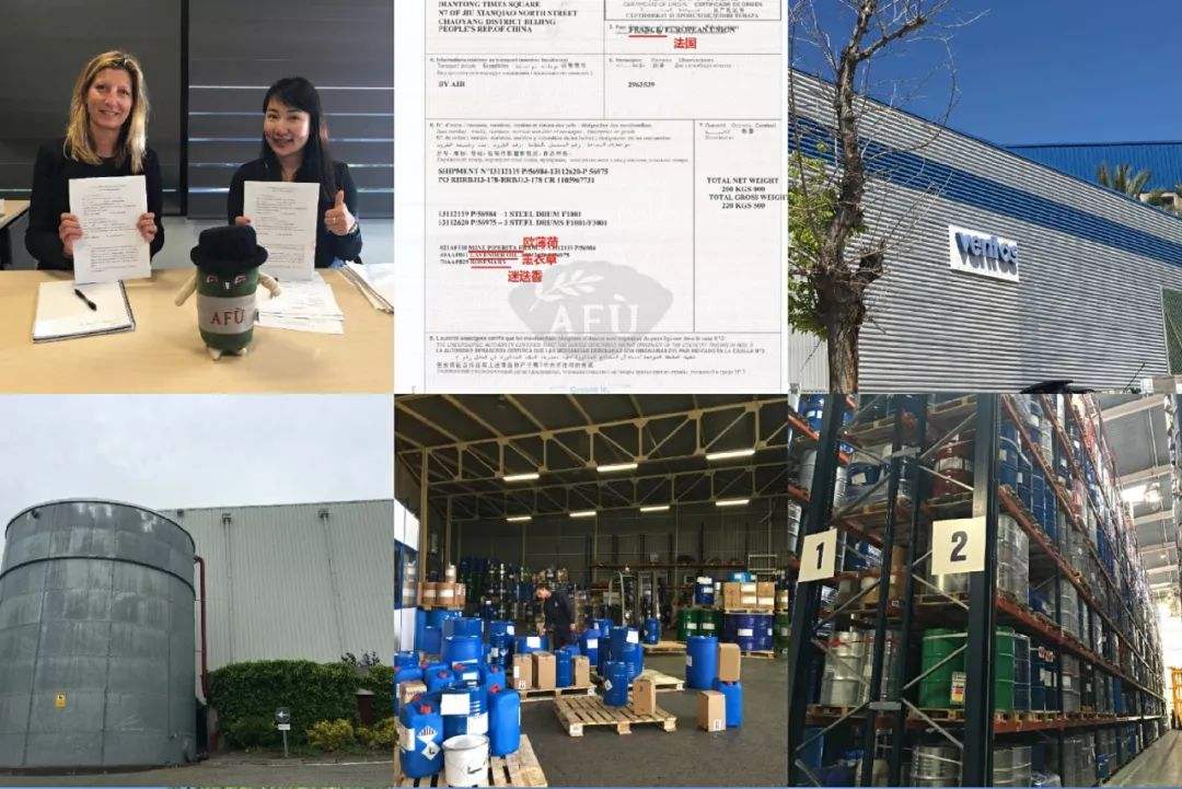 讲解！www197downinfo“纯一不杂”