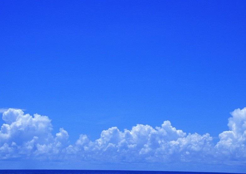 分析！备注blue什么意思“空谷幽兰”