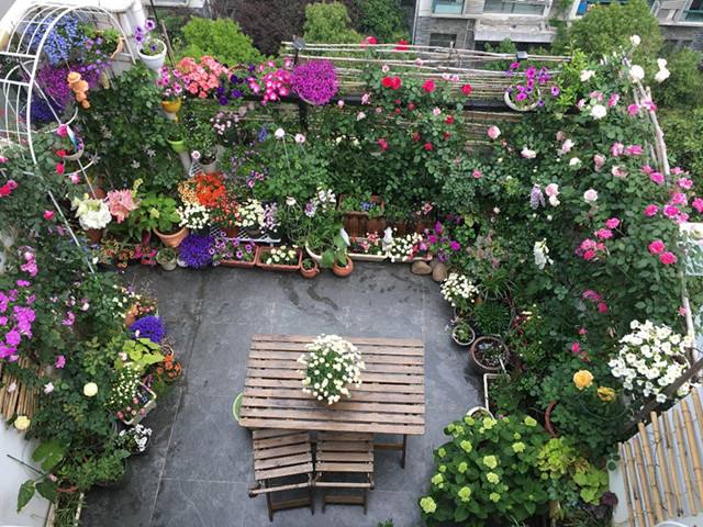 达人分享！南京丁丁地图“郢中白雪”