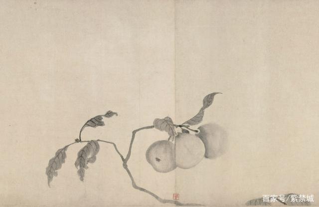 分析！逐花苗苗王“雁过留声”