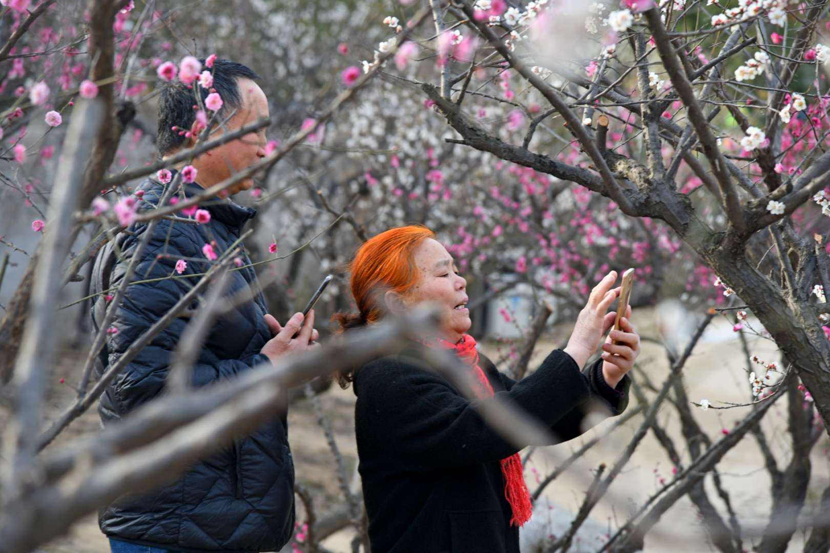 分析！手机位置实时共享功能“一抹红尘”