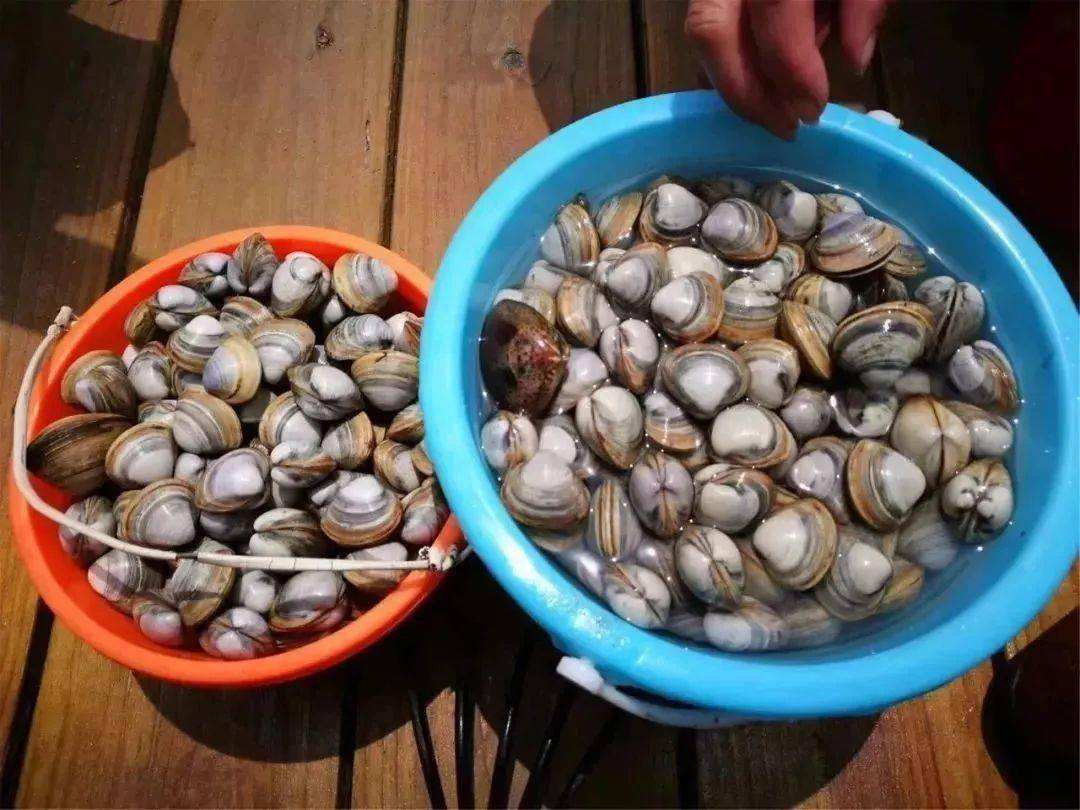 达人分享！18岁以上身份证号码“一抹红尘”