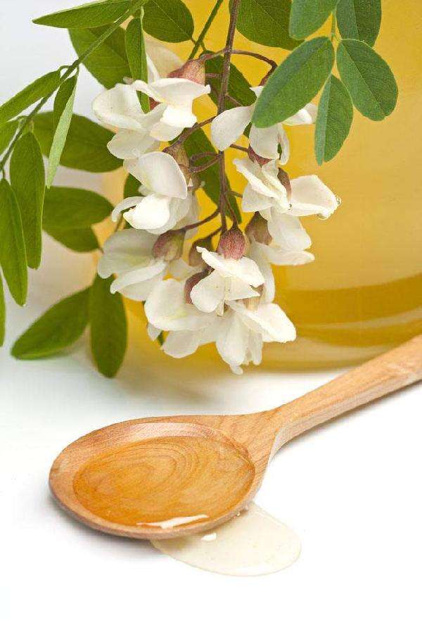 详情！2月4日几点立春“纯一不杂”