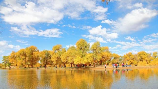 达人分享！金庸的籍贯是哪里“纯一不杂”