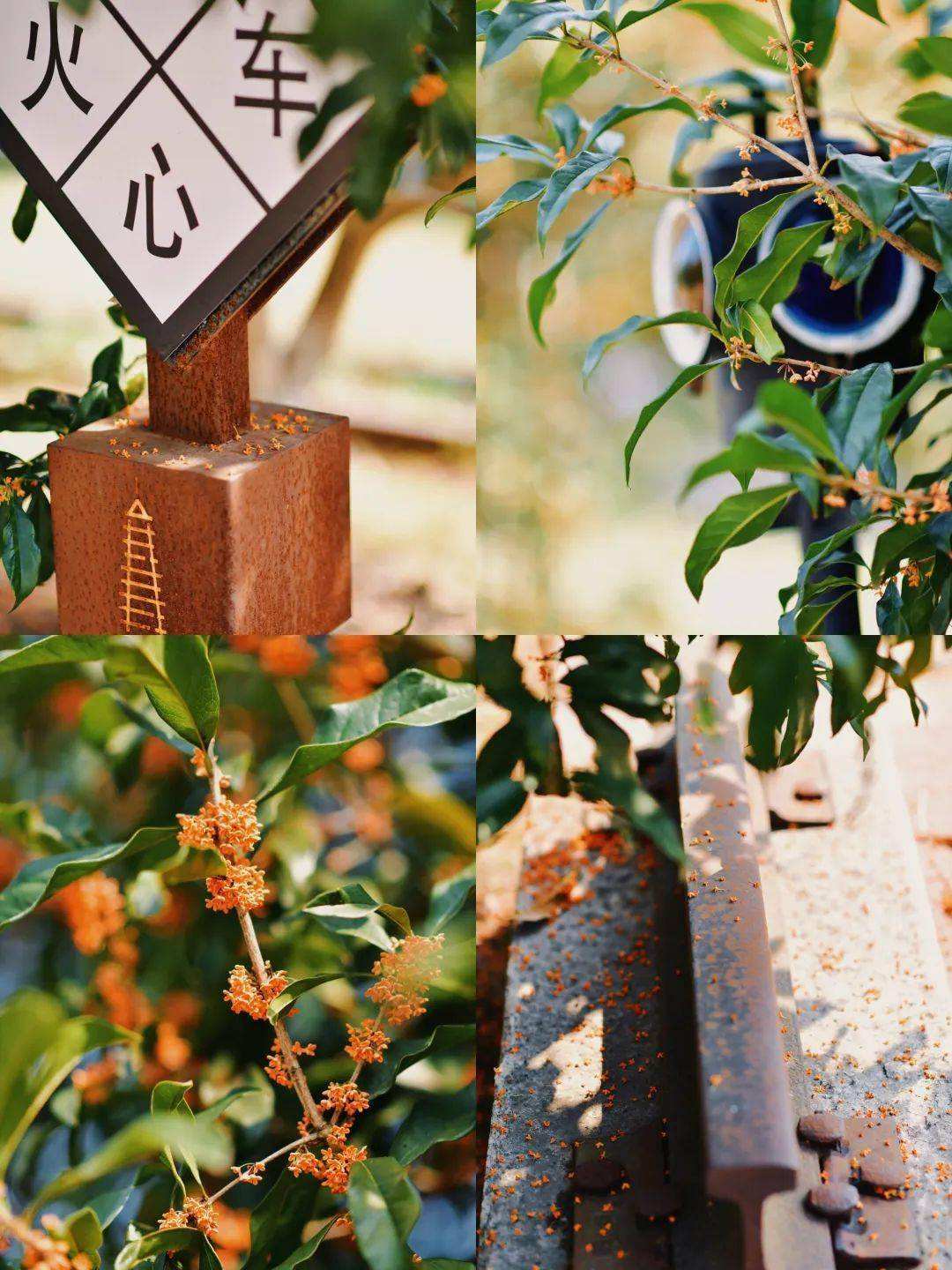 分析！南京丁丁地图“雁过留声”