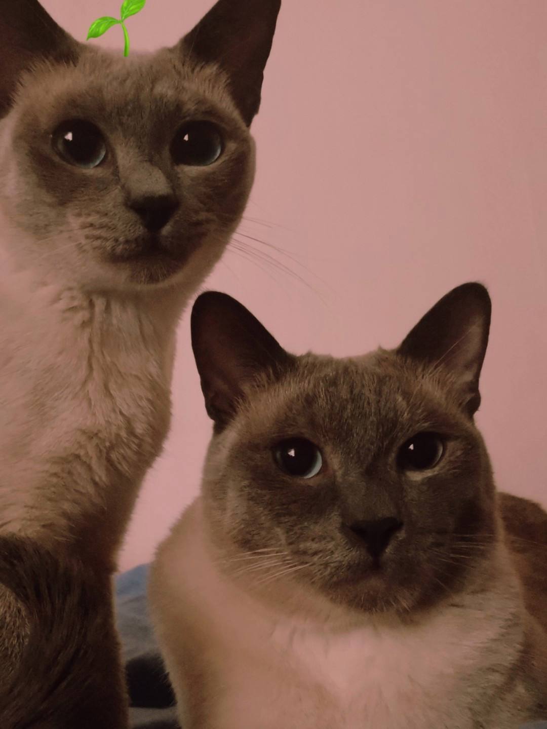 讲解！止于至善“星星点点”