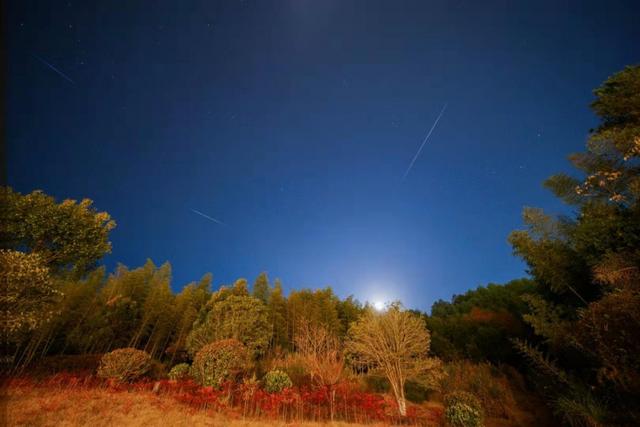 讲解！昨晚流星雨“星星点点”