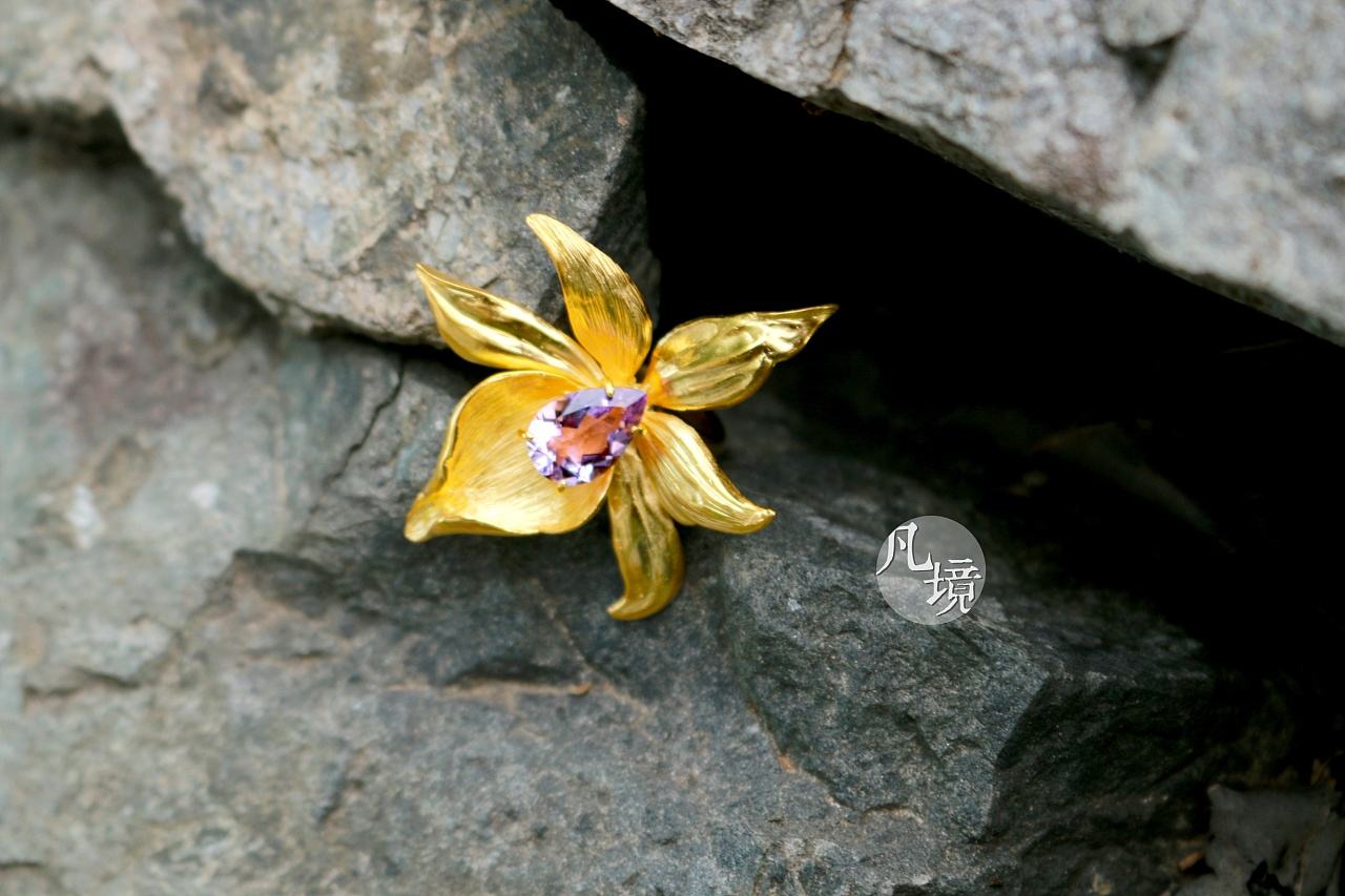 分析！打仗片“空谷幽兰”