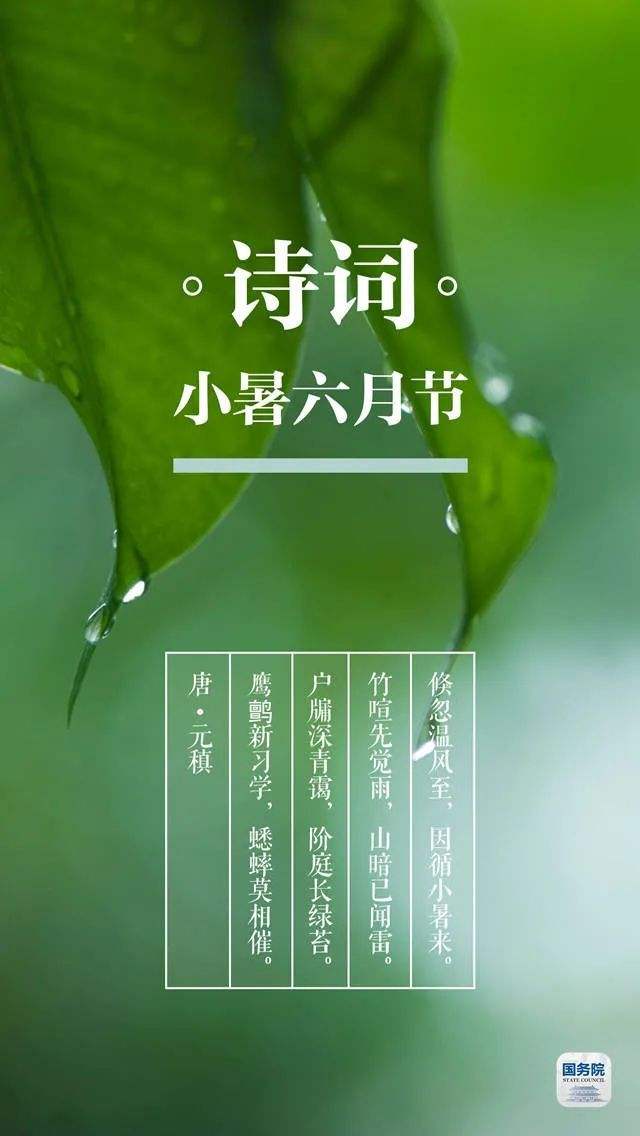 达人分享！小暑是入伏的头一天吗“夏花依旧”