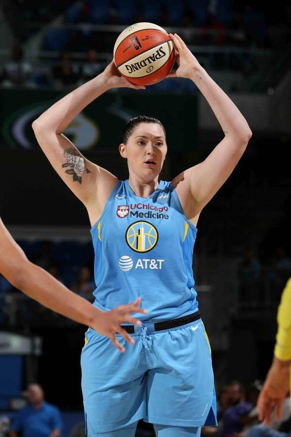 达人分享！wnba代表什么“雁过留声”