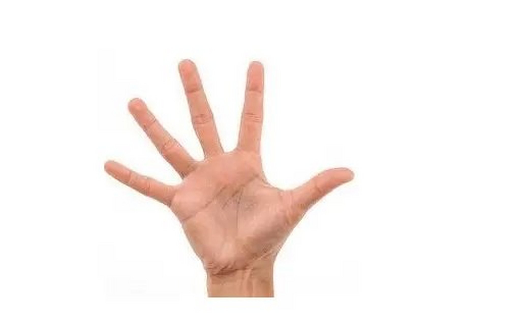 讲解！手掌相学“夏花依旧”