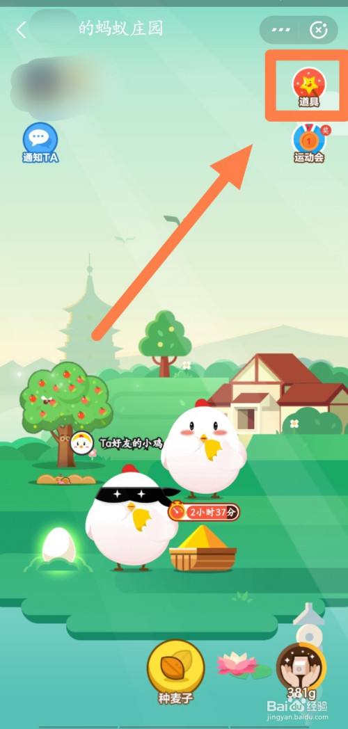 分析！面膜需要天天敷吗蚂蚁庄园