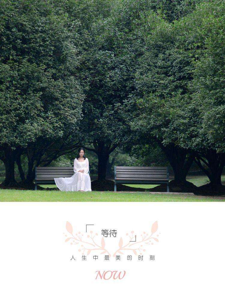 分析！刘复基“空谷幽兰”