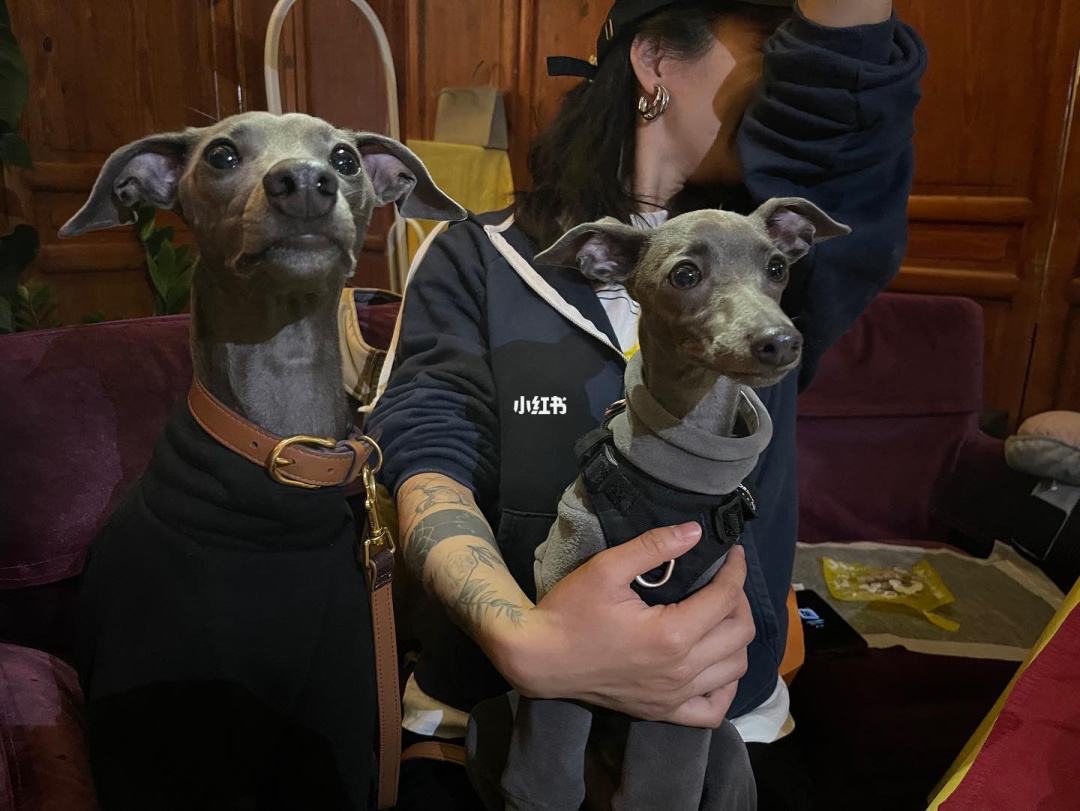 讲解！复制与粘贴的快捷键“典则俊雅”