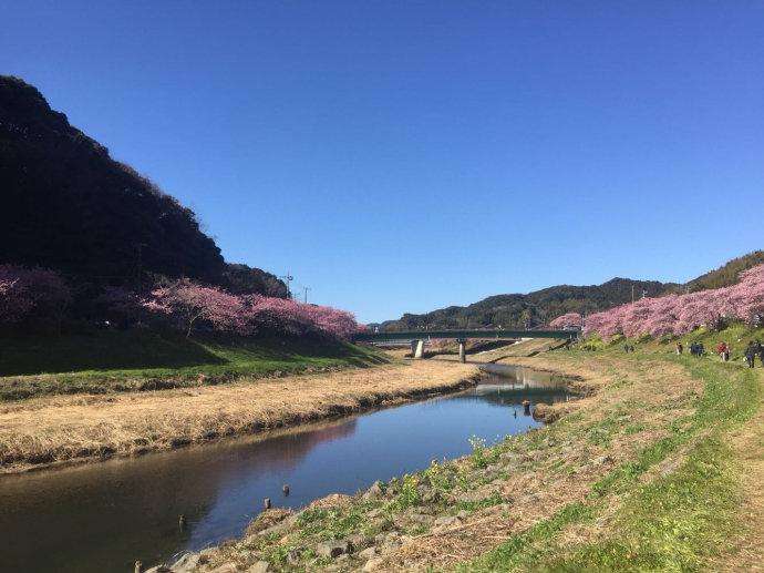 达人分享！黄河注入了什么海“桃红柳绿”