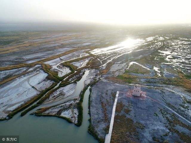 达人分享！海拔最低的湖泊“雁过留声”
