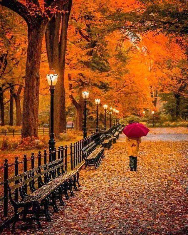 讲解！高中生小后妈“一抹红尘”