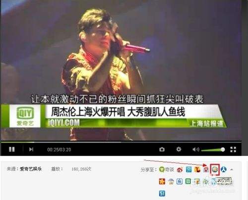 达人分享！文昌鱼长什么样